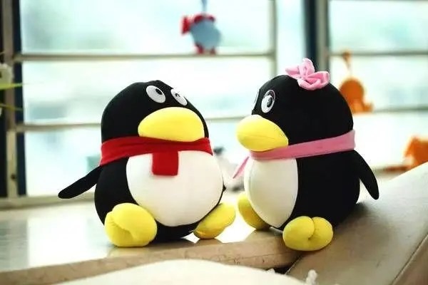 vivoQQ分身PIN码进不去？